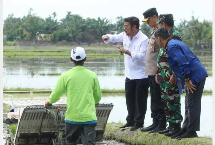 Hadapi Ancaman El Nino, Kementan Ungkap 6 Provinsi Penjaga Pasokan ...