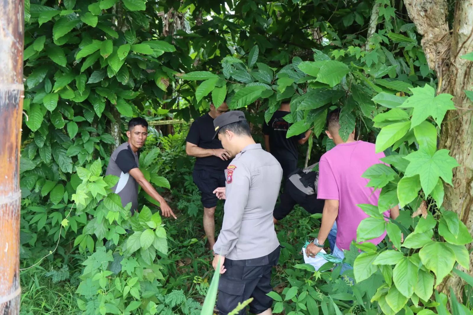 Lokasi penganiyaan nenek Saudah (68) asal Pasaman yang diduga dianiaya oleh pelaku penambangan ilegal. (Dok. Polres Pasaman)