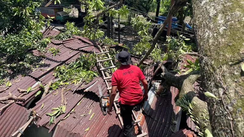 Pohon tumbang akibat cuaca ekstrem hantam rumah warga di kawasan Mata Air, Kecamatan Padang Selatan, Kota Padang pada Senin (16/3/2026) sore. (Dok. Pusdalops PB)