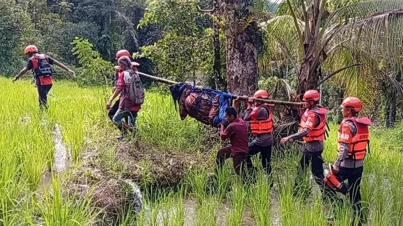Tim SAR gabungan mengevakuasi korban yang ditemukan meninggal dunia setelah terseret arus sungai akibat banjir di Nagari Alahan Mati, Kecamatan Simpati, Kabupaten Pasaman, Sumatera Barat (Sumbar) pada Jumat (17/4/2026) siang. (Dok. Basarnas)
