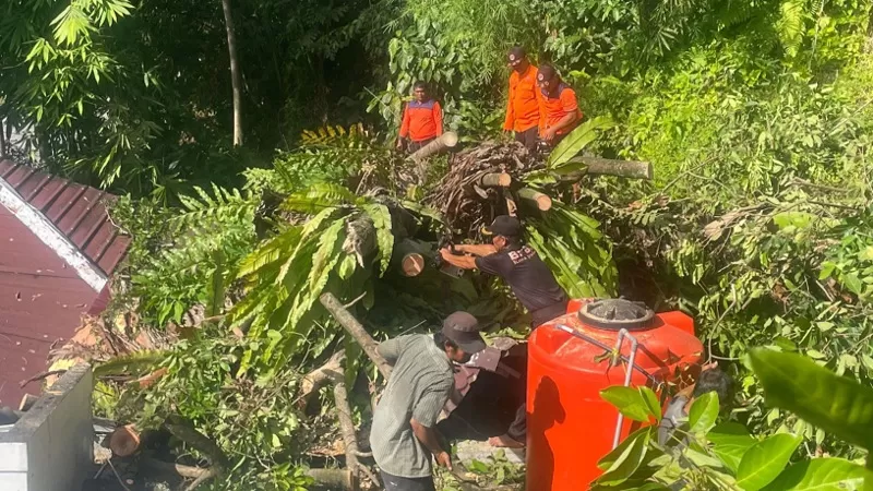 Tim BPBD Kota Padang bersama unsur Satpol PP, aparat kelurahan, dan warga melakukan pembersihan pohon tumbang di sejumlah titik usai hujan deras disertai angin kencang melanda Padang, Kamis (21/5/2026) pagi hingga malam. (Dok. Pusdalops PB)