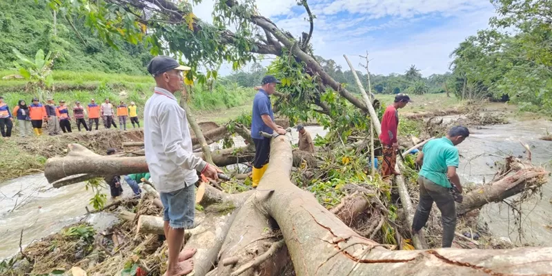  Puluhan warga bersama personel BPBD, TNI-Polri, aparatur kecamatan dan nagari bergotong royong membersihkan pohon-pohon tumbang yang menyumbat aliran Sungai Batang Sandir di Jorong Sawahlaweh, Nagari Tungkar, Kecamatan Situjuah Limo Nagari, Kabupaten Limapuluh Kota, Minggu siang (17/5/2026). (Foto: Istimewa)
