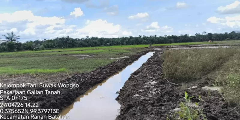 Pemerintah Kabupaten Pasaman Barat terus mempercepat pemulihan sektor pertanian yang terdampak bencana alam, khususnya pada lahan sawah dengan tingkat kerusakan ringan.  (Foto: Pemkab Pasbar)