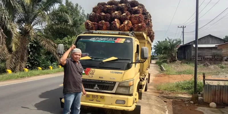 Anjloknya harga tandan buah segar (TBS) kelapa sawit di Kabupaten Pesisir Selatan, Sumatera Barat, memicu keresahan di kalangan petani swadaya.  (Foto: Pemkab Pessel)