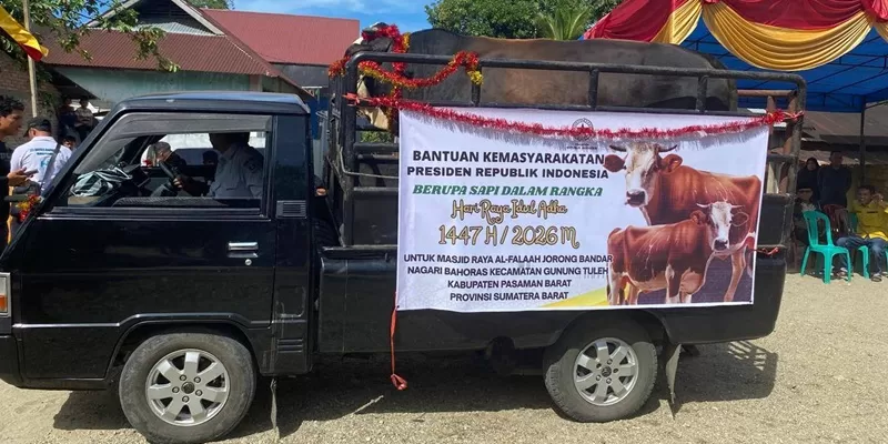 Ratusan warga Jorong Bandar, Nagari Bahoras, Kecamatan Gunung Tuleh, Pasaman Barat, memadati halaman Masjid Al-Falah pada Rabu (27/5/2026) untuk menyaksikan penyembelihan sapi kurban bantuan kemasyarakatan dari Presiden Prabowo Subianto. (Foto: Pemkab Pasbar)