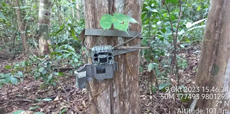 Bertepatan dengan momentum World Environment Day, perusahaan kembali menegaskan arah perjalanan keberlanjutannya melalui pesan “Goodness that Grows”, yang menekankan bahwa perubahan positif dapat tercipta dari langkah-langkah kecil yang dilakukan secara konsisten dan berkelanjutan. (Foto: Paragon)