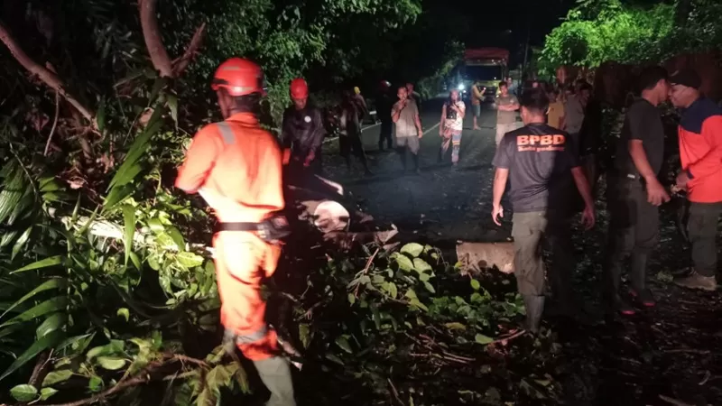 Petugas BPBD Kota Padang bersama masyarakat membersihkan pohon aro sepanjang sekitar 15 meter yang tumbang dan menghambat akses Jalan Raya Padang-Painan KM 12, Kelurahan Gates, Kecamatan Lubuk Begalung Nan XX, Jumat (12/6/2026) malam. (Dok. Pusdalops PB)