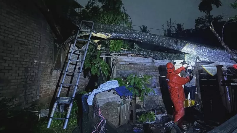  Badan Penanggulangan Bencana Daerah (BPBD) Kota Payakumbuh bergerak cepat menuntaskan penanganan pohon tumbang yang terjadi di tiga lokasi berbeda akibat hujan disertai angin kencang yang melanda wilayah tersebut pada Ahad (14/6/2026) malam. (Foto: Pemko Payakumbuh)
