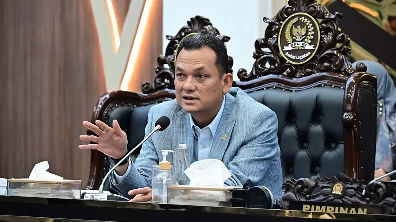 Wakil Ketua Badan Legislasi DPR RI Martin Manurung. (Foto: DPR RI)