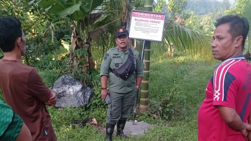Suasana kawasan Hutan Kemasyarakatan (HKm) Panyalaian Labuah Baru di Kabupaten Agam yang menjadi objek laporan dugaan penyerobotan lahan. Polisi masih melakukan penyelidikan dengan mengumpulkan alat bukti dan memeriksa sejumlah saksi. (Dok. Istimewa)