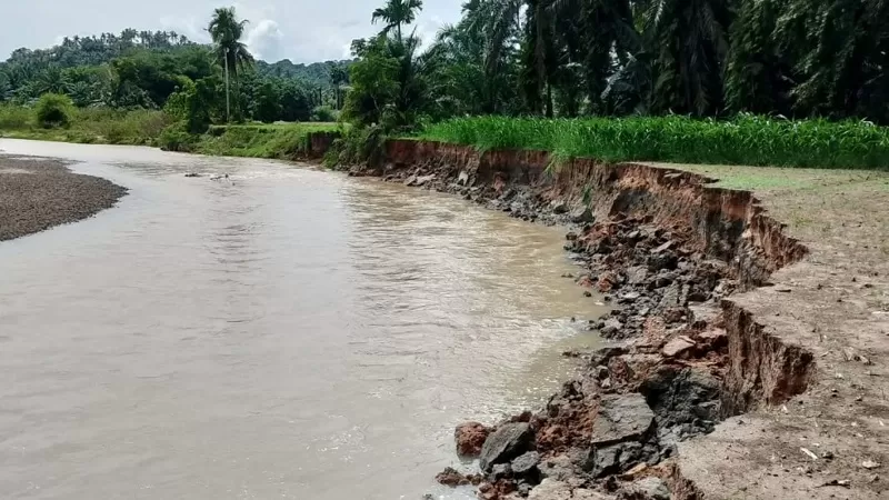 Kondisi tebing runtuh mengancam akses jalan kabupaten yang menghubungkan Cacang Randah dengan Bukik Malintang di Jorong Bukik Malintang, Nagari Tiku Utara, Kecamatan Tanjung Mutiara, Kabupaten Agam. (Foto: Pemkab Agam)