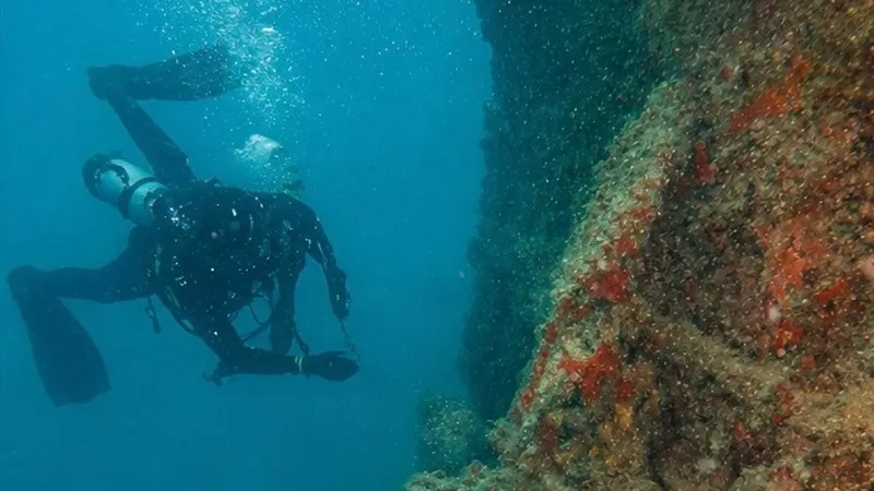 BRIN menyelesaikan penelitian kolaboratif mengenai pelindungan Situs Benteng VOC dan Dermaga Kona Pulau Cingkuak serta Bangkai Kapal M.V. Boelongan di Teluk Mandeh, Kabupaten Pesisir Selatan. (Foto: UBH)