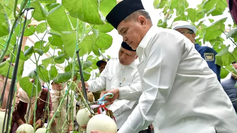 Bupati Agam, Ir. H. Benni Warlis, MM, Dt. Tan Batuah, menyambut kunjungan lapangan Tanaman Pangan dan Hortikultura Provinsi Sumatera Barat yang berlangsung di Nagari Lubuk Basung, Kecamatan Lubuk Basung, Jumat (21/8/2026). (Foto: Pemkab Agam)