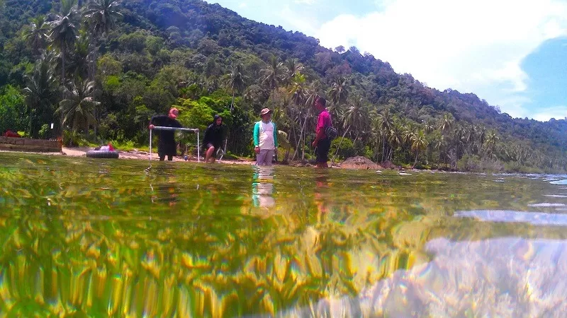 Tim peneliti Fakultas Perikanan dan Ilmu Kelautan Universitas Bung Hatta melaksanakan kajian indeks kesehatan ekosistem lamun (seagrass) di sejumlah wilayah pesisir Sumatera Barat. (Foto: UBH)