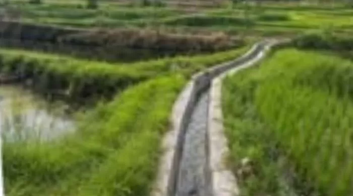 Penampakan sawah dan saluran irigasi di Agam. (Foto: Pemkab Agam)