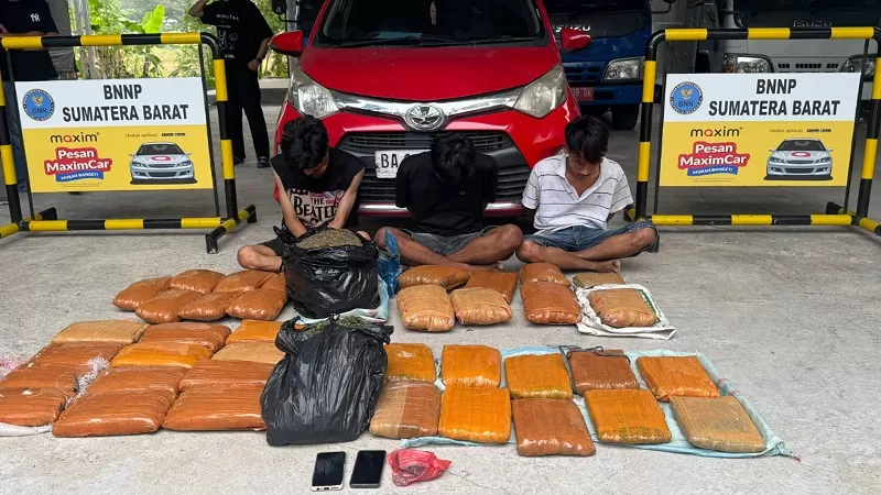 BNNP Sumbar menggagalkan pengiriman narkotika jenis ganja seberat 44 kilogram di Lubuk Sikaping, Kabupaten Pasaman dan mengamankan dua orang yang diduga sebagai kurir. (Dok. BNN)