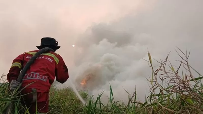 Ilustrasi karhutla. (Foto: Kemenhut)