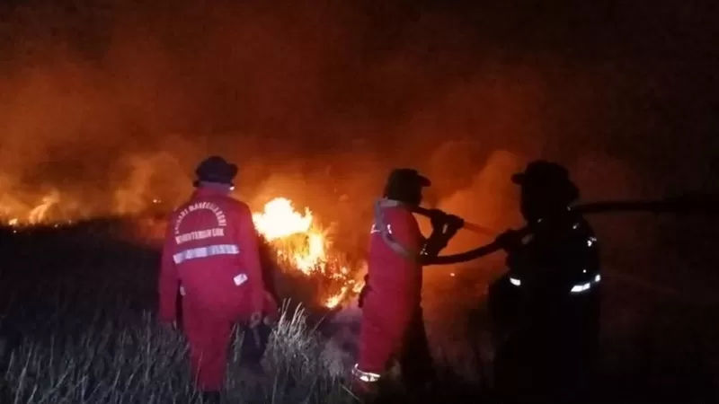 Petugas berusaha memadamkan kebakaran hutan. (Foto: Kemenhut)