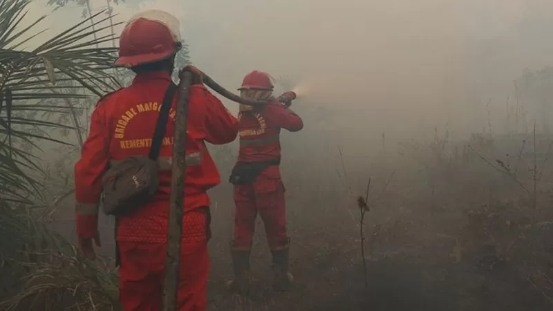 Ilustrasi kebakaran hutan. (Foto: Kemenhut)