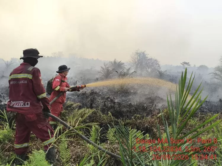 Ilustrasi karhutla. (Foto: Kemenhut)