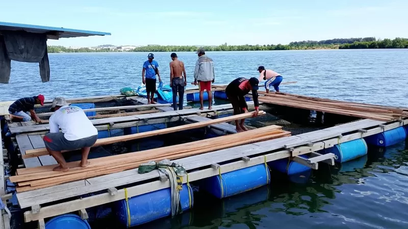 Program Kampung Bahari Si Pelaut yang dijalankan Pertamina Patra Niaga Sumbagut melalui Aviation Fuel Terminal Hang Nadim mendorong masyarakat Kampung Tue Terih, Batam, mengembangkan budidaya perikanan dan produk olahan hasil laut. (Dok. PPN Sumbagut)