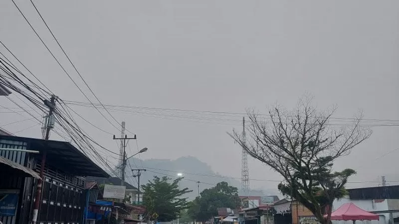  Pemerintah Kabupaten Pesisir Selatan (Pessel), Sumatera Barat, mengeluarkan tujuh langkah antisipasi untuk melindungi masyarakat dari dampak kabut asap kebakaran hutan dan lahan (karhutla). (Foto: Pemkab Pessel)