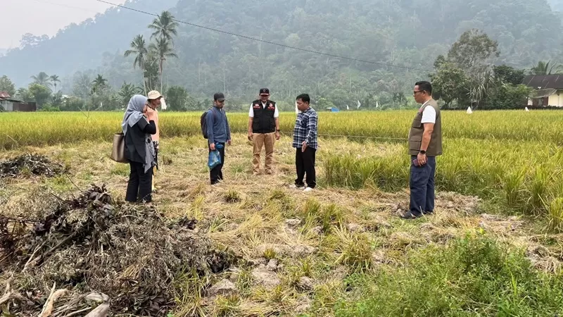 Badan Penanggulangan Bencana Daerah (BPBD) Kabupaten Agam bersama Badan Riset dan Inovasi Nasional (BRIN) mulai mengkaji rencana penerapan teknologi pengolahan air siap minum (ARSINUM) di Jorong Pasia Laweh, Nagari Pasia Laweh, Kecamatan Palupuh. (Foto: Pemkab Agam)