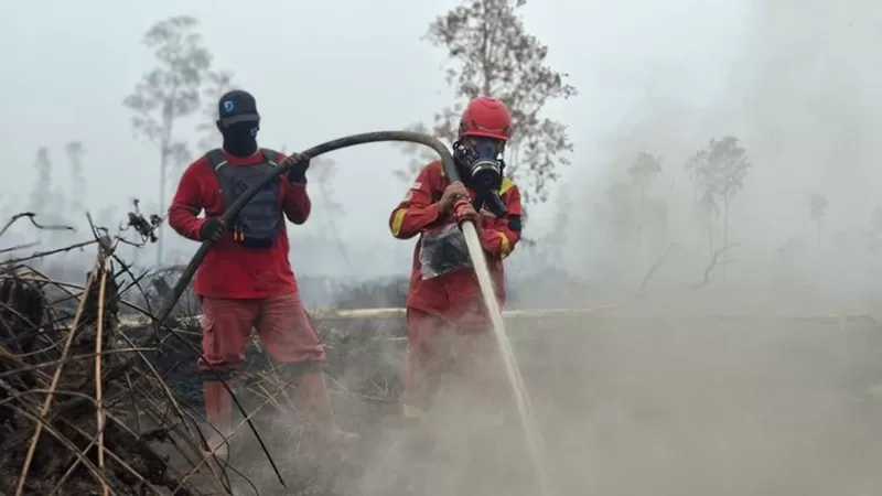 Petugas melakukan pemadaman karhutla. (Foto: Kemenhut)