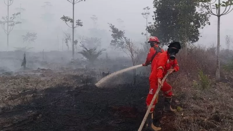 Petugas berusaha memadamkan api karhutla. (Foto: Kemenhut)