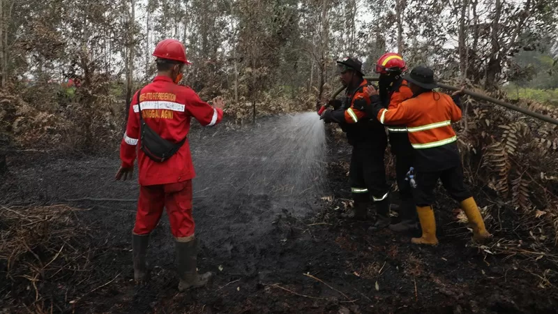 Uji coba material serbuk yang dilarutkan dalam air untuk memadamkan api di lahan gambut di Kecamatan Tanjung Lago, Kabupaten Banyuasin, Sumatera Selatan, Jumat (9/10/2026). (Bidang Komunikasi Kebencanaan/Desna Dwinda Jatnika)