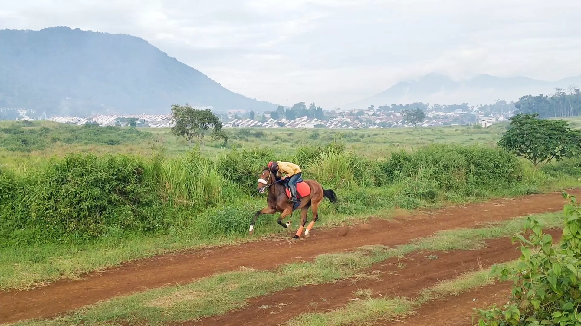 Potret Iky, Salah seorang Joki Andalan Graha Alam Stable, sedang berpacu bersama Kudanya, di Pacuan Kuda Cibogo, Tansar-Sumedang. Sabtu (17/01/2026) pagi.