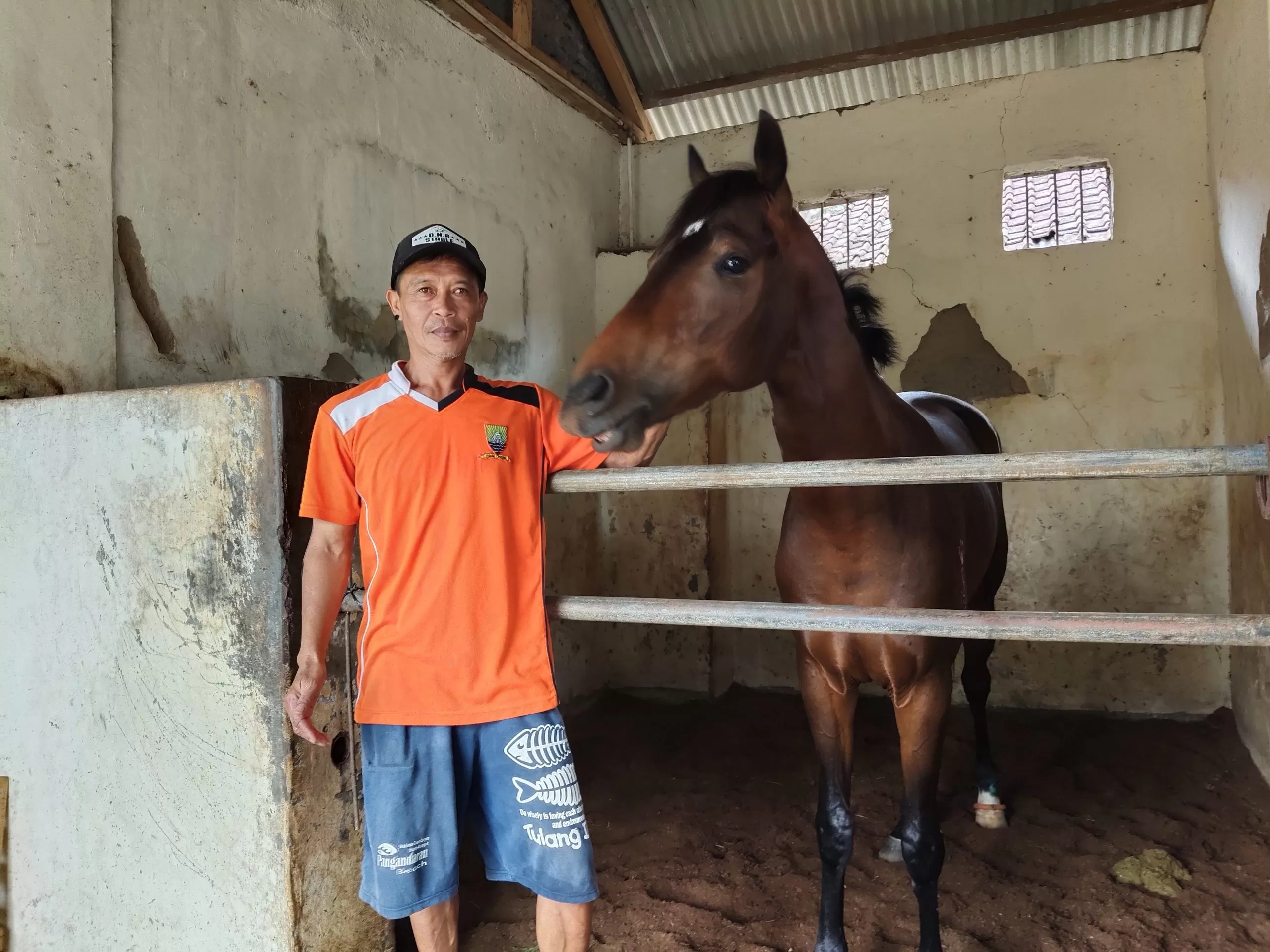 Foto : Seorang Gromer Suramadu Stable berpose bersama Midnight, Jumat 30 Januari 2026. - G'jodt