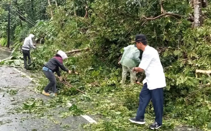 Penanganan Pohon Tumbang yang Menimpa Kabel Tiang Listrik di Blok Ciberecek, Desa Cilangkap Kecamatan Buahdua oleh Forkopimcam Buahdua beserta Unsur Pemdes (Foto : Istimewa) 