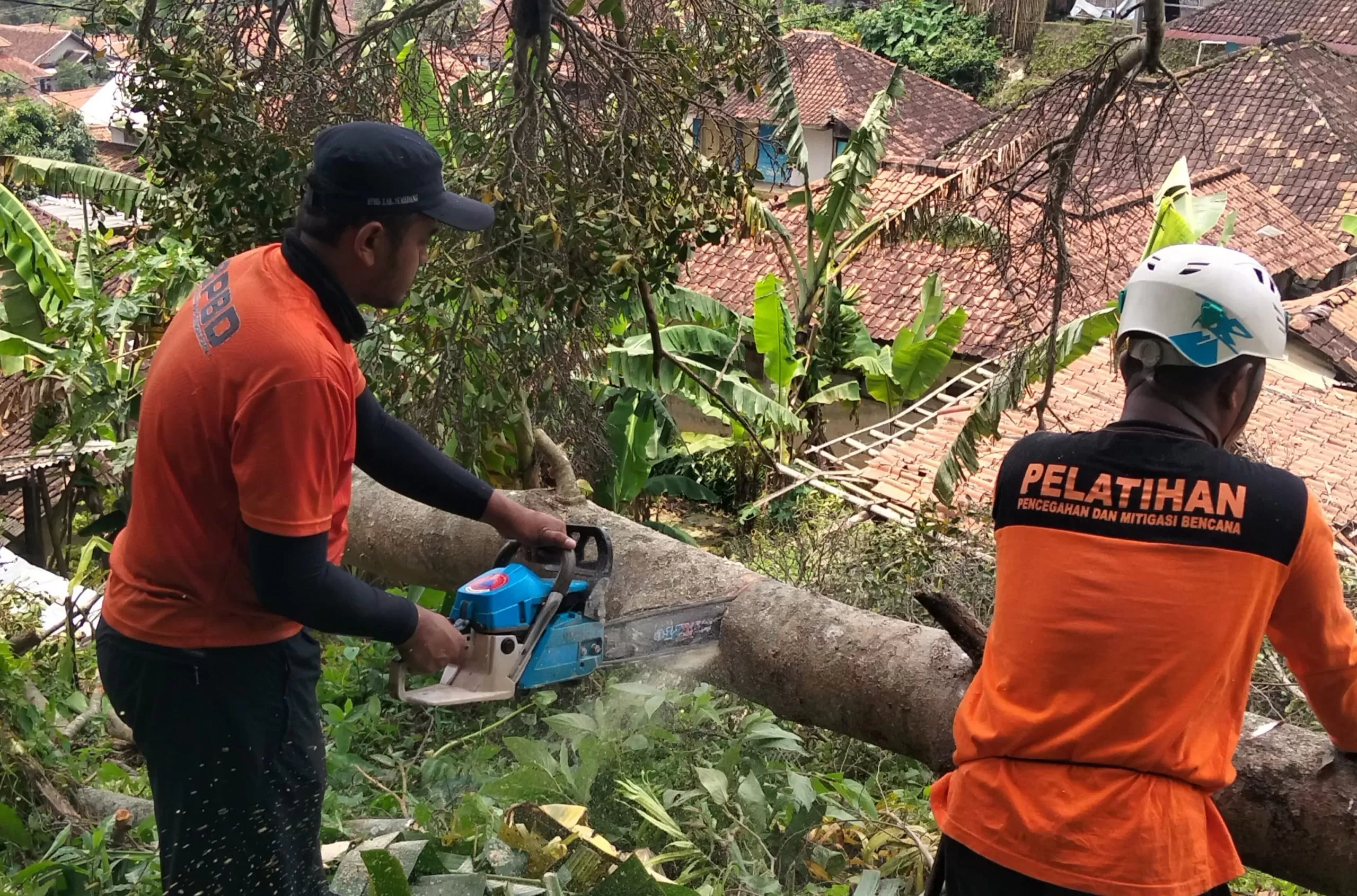 Personel Tim Reaksi Cepat (TRC) BPBD Sumedang saat Tanganani Pohon Tumbang di Conggeang (Foto : Istimewa) 