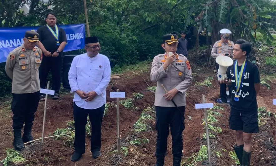 Saat Penanaman 500 Bibit Ubi Cilembu di Lahan 200 Meter Persegi, Kolaborasi Polres Sumedang Bersama PC PMII Sumedang (Foto : Istimewa) 