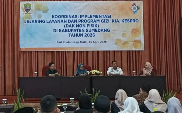 Ketua DPC APDESI Kabupaten Sumedang, Welly Sanjaya saat menjadi narasumber dalam kegiatan koordinasi implementasi jejaring layanan dan program kesehatan (Foto : Istimewa) 