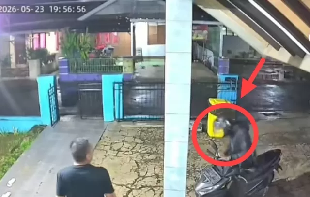 Sebelum beraksi di Cimalaka, dengan ciri-ciri yang sama, pelaku melancarkan aksinya di Darmaraja dan terekam CCTV. (Foto : Istimewa)