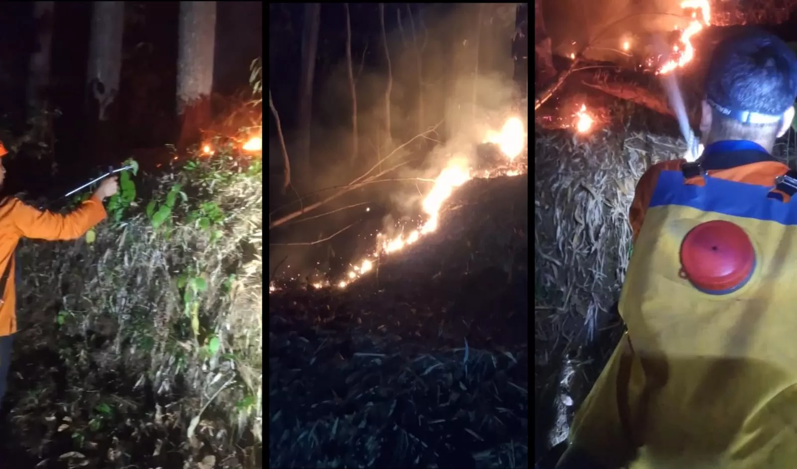 Petugas BPBD Berupaya Memadamkan Api Menggunakan Pompa Air Portabel di Lokasi Kebakaran Gunung Palasari. Foto: Dok. BPBD Sumedang