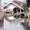 Nasib Nelayan di Tambak Lorok: Bertahan Dikepung Banjir Rob dan Pendapatan yang Tak Menentu