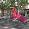 2 Pasar Bunga di Yogyakarta yang Harum-Harum dan Cantik-Cantik ... Bunganya!