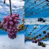 Revolusi Konservasi Bawah Laut oleh Coral Gardener: Ajak Bersedekah dengan Mengadopsi Bayi Karang