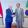 Indonesia-Brasil Bahas Kerja Sama Perubahan Iklim, Berikut Komitmen Jokowi dan Presiden Lula da Silva 