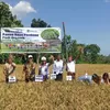 Petani di Manggarai Barat, Buat Pupuk Organik untuk Selamatkan Alam dan Merdeka dari Tengkulak