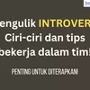 Introvert Adalah Tipe Kepribadian dalam MBTI, Kenali Ciri Ciri dan Tipsnya Yuk!