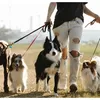 Waspadai Gejala! 5 Tanda - Tanda Anjing Terinfeksi Rabies yang Wajib Diwaspadai
