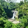 CATAT untuk Tempat HEALING! Air Terjun Holiday, Permata Tersembunyi di Hutan Way Kanan, Lampung