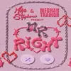 Lirik Lagu Mr Right oleh Mae Stephens dan Meghan Trainor, Cause Baby You Are Not The Best dan Terjemahan