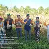 Bukan Cuma Hasil Laut! Desa Talise Buktikan Wilayah Kepulauan Bisa Jadi Lumbung Pangan dan Penekan Inflasi