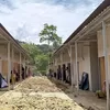 BNPB ancam putuskan kontrak vendor nakal di Aceh Timur, ini masalahnya