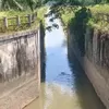 Pasokan air sawah di Kluet Raya kembali pulih